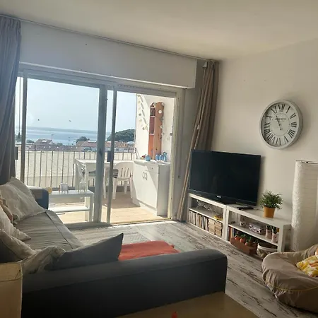 Mikbero 404 Palamós